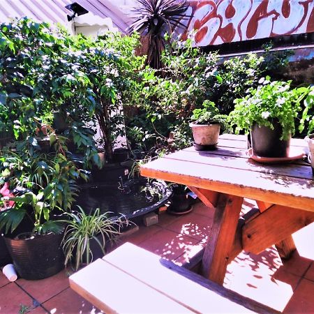 Asylum Sydney Backpackers Hostel Luaran gambar