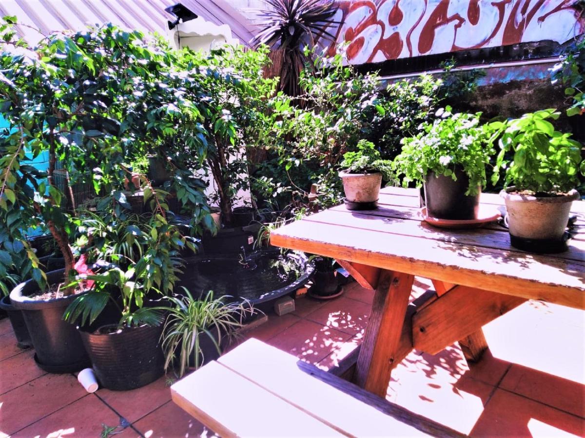 Asylum Sydney Backpackers Hostel Luaran gambar