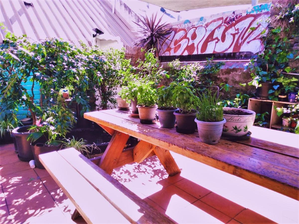 Asylum Sydney Backpackers Hostel Luaran gambar